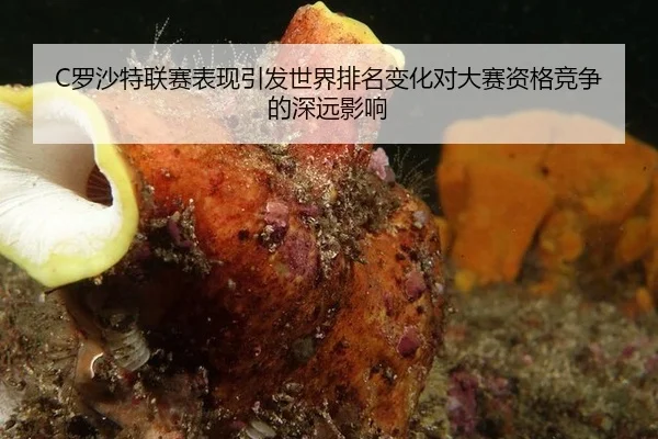 C罗沙特联赛表现引发世界排名变化对大赛资格竞争的深远影响
